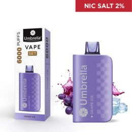 VAPE 6000 PUFFS SET Grape Ice 2%