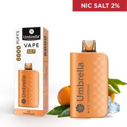 VAPE 6000 PUFFS SET Ice Tangerine 2%