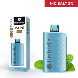 VAPE 6000 PUFFS SET Icy Mint 2%