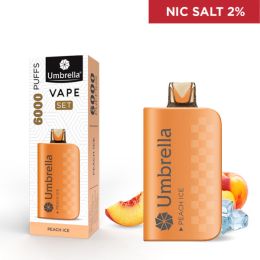 VAPE 6000 PUFFS SET Peach Ice 2%