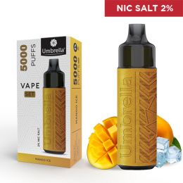 VAPE 5000 PUFFS SET Mango Ice 2%