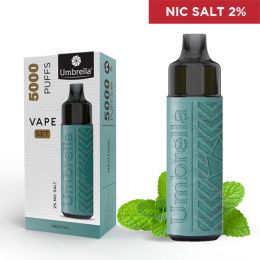 VAPE 5000 PUFFS SET Menthol 2%