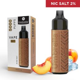 VAPE 5000 PUFFS SET Peach Ice 2%