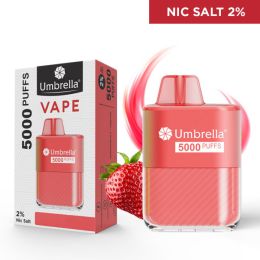 VAPE 5000 PUFFS STRAWBERRY FANTASY 2%