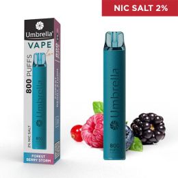 VAPE 800 PUFFS Leather Forest Berry Storm 2%