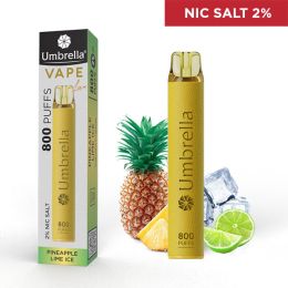 VAPE 800 PUFFS Leather Pineapple Lime Ice 2%
